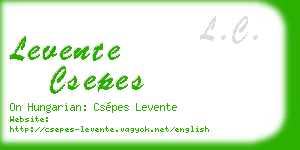 levente csepes business card