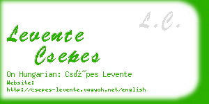 levente csepes business card